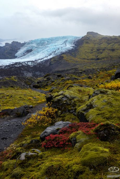 au pied du glacier